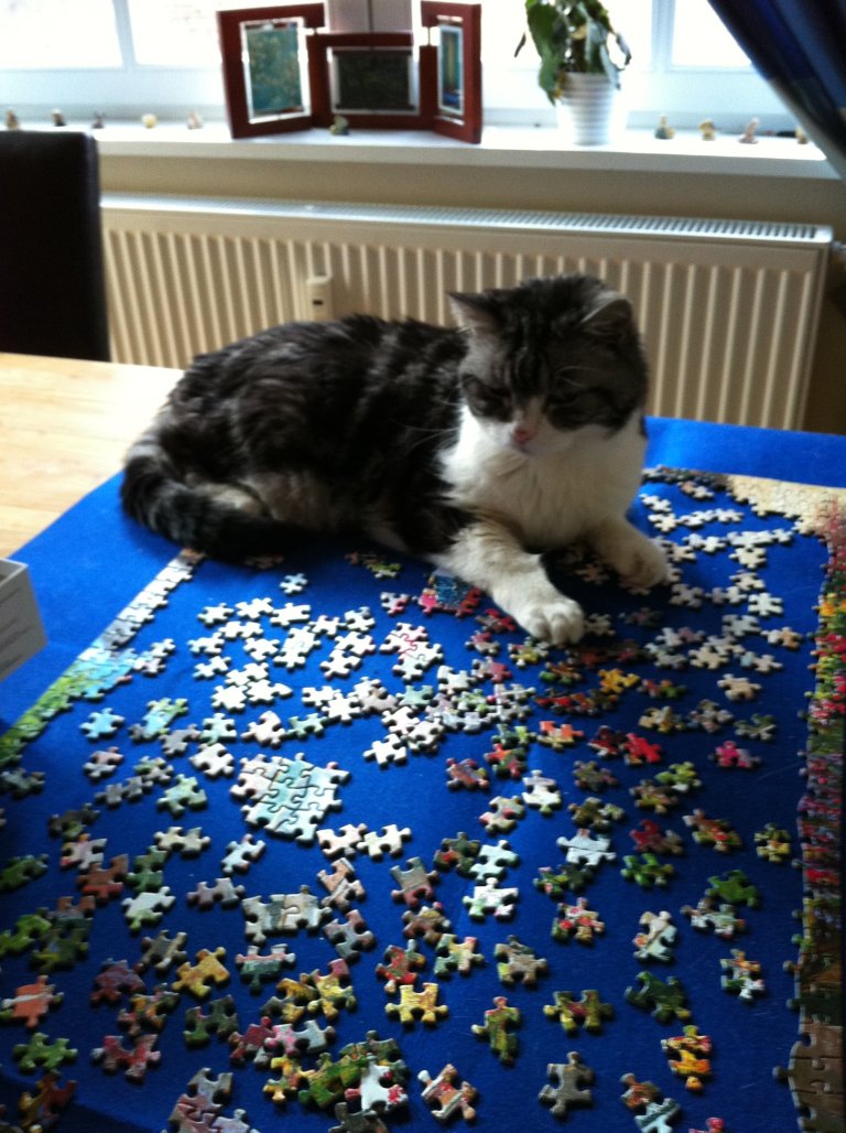 Puzzle Kitty