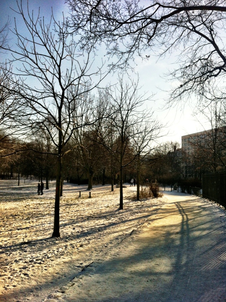 Volkspark Friedrichshain in Winter