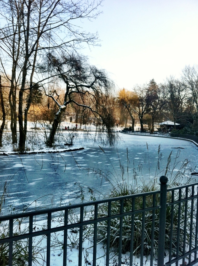 A frozen pond in Volkspark Friedrichshain