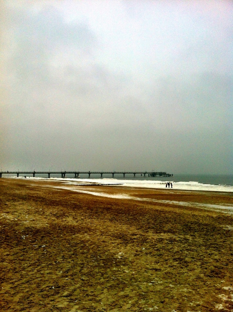 winter beach landscape